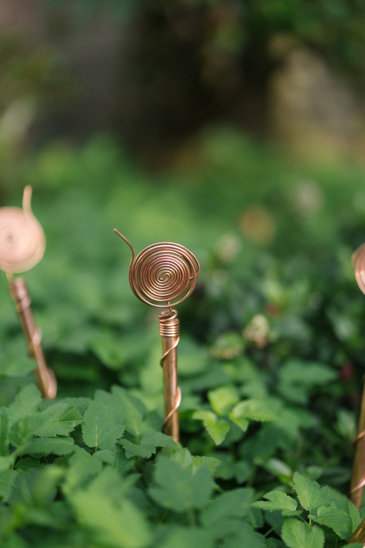 Kopero Elektrokultur 30 cm, eine Antenne in einem Beet zwischen grünen Pflanzen