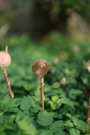 Kopero Elektrokultur 30 cm, eine Antenne in einem Beet zwischen grünen Pflanzen