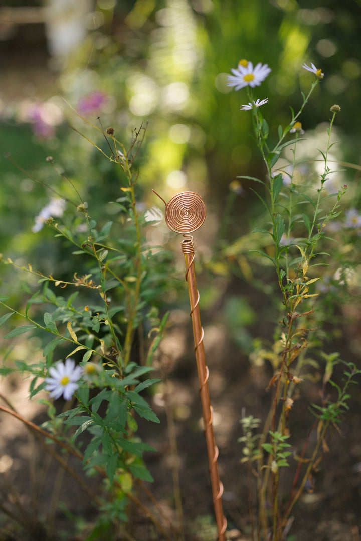 Kopero Elektrokultur 60 cm, eine Antenne zwischen Wildblumen im Garten